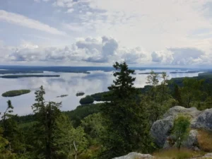 Дети на природе в летнем лагере Metsämäki Lomat в Финляндии