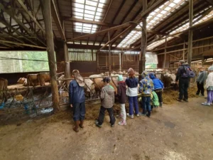 Дети на природе в летнем лагере Metsämäki Lomat в Финляндии