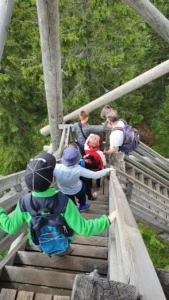 Дети на природе в летнем лагере Metsämäki Lomat в Финляндии