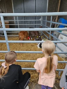 Дети на природе в летнем лагере Metsämäki Lomat в Финляндии