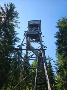 Дети на природе в летнем лагере Metsämäki Lomat в Финляндии
