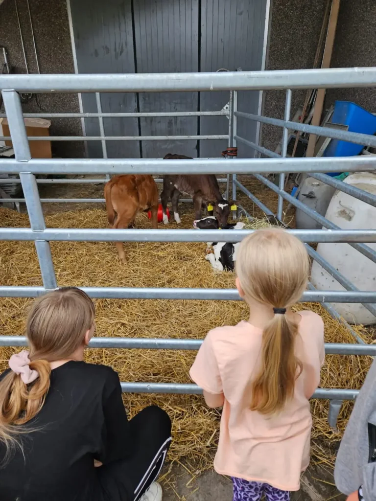 Дети на природе в летнем лагере Metsämäki Lomat в Финляндии