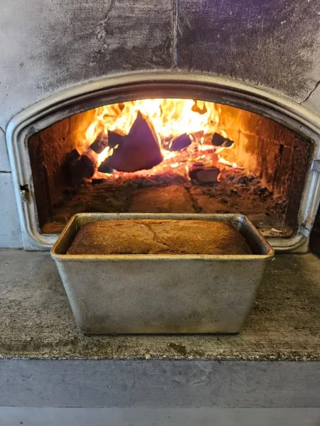 Дети на природе в летнем лагере Metsämäki Lomat в Финляндии